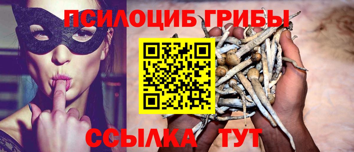 Белореченск  Галлюциногенные грибы Psilocybe  Вход с VPN 