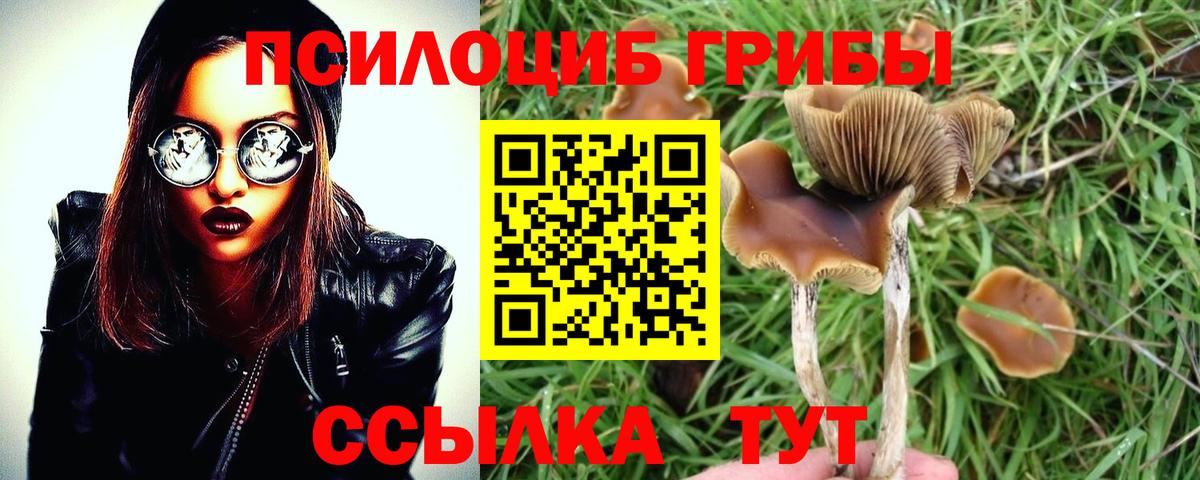 Галлюциногенные грибы GOLDEN TEACHER Белореченск